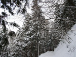 P1660377