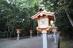 DP0Q3906