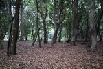 DP0Q3918