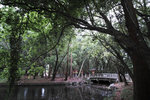 DP0Q3921