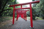 DP0Q3928