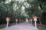 DP0Q3932