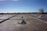 DSC00755
