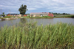 DSC00762