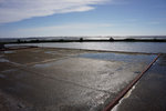 DSC00788