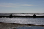 DSC00793