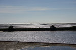 DSC00797