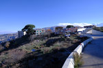 DSCF7988