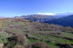 DSCF7994