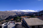 DSCF7996