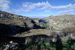 DSCF8007