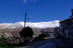 DSCF8025