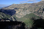 DSCF8026