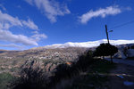 DSCF8031