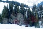 DSCF1484