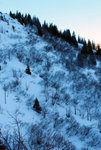 DSCF1509