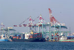 _DSF0904