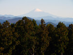 P1322585