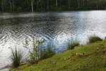 DSC08389