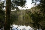 DSC08397