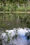 DSC08409