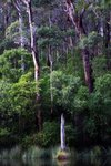 DSC08425