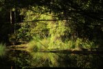 DSC08436