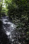 DSC08447