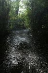 DSC08448