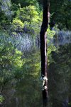 DSC08450