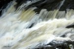 DSC08463