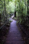 DSC08486