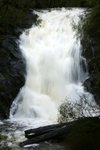 DSC08495