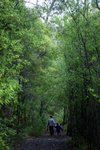 DSC08499