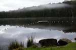 DSC08571