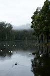 DSC08591