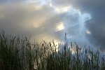 DSC08629