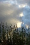 DSC08630