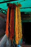 DSC00029