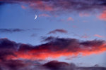 P1177262