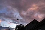 P1177264