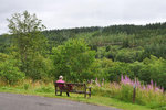 P1188454