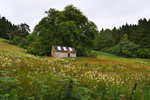 P1188480