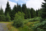 P1188486