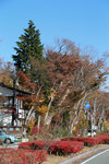 DD4W8024