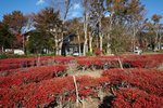 DSC00190
