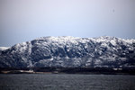 IMG_6378