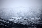 IMG_6482