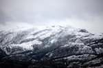 IMG_6622