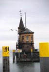 IMGP4451